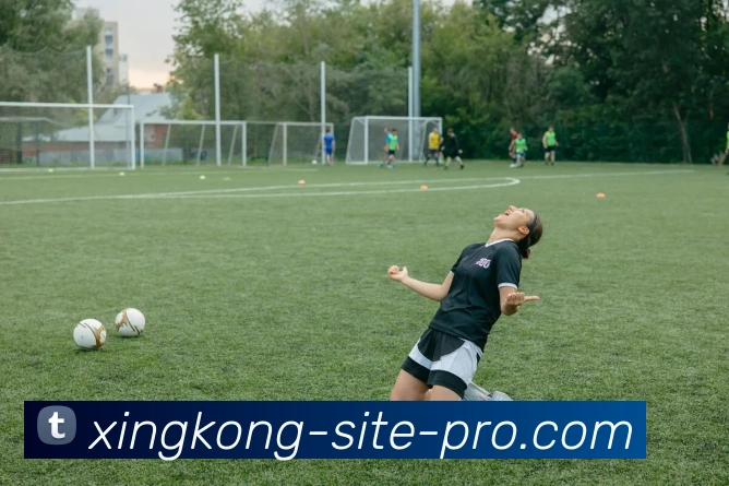 App Interface Preview