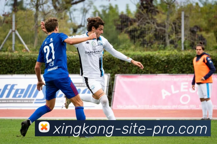 星空体育APP 封面图